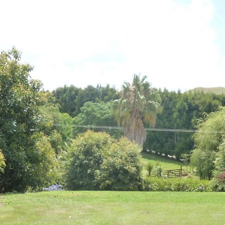 Paradise Grove Уангамата Экстерьер фото