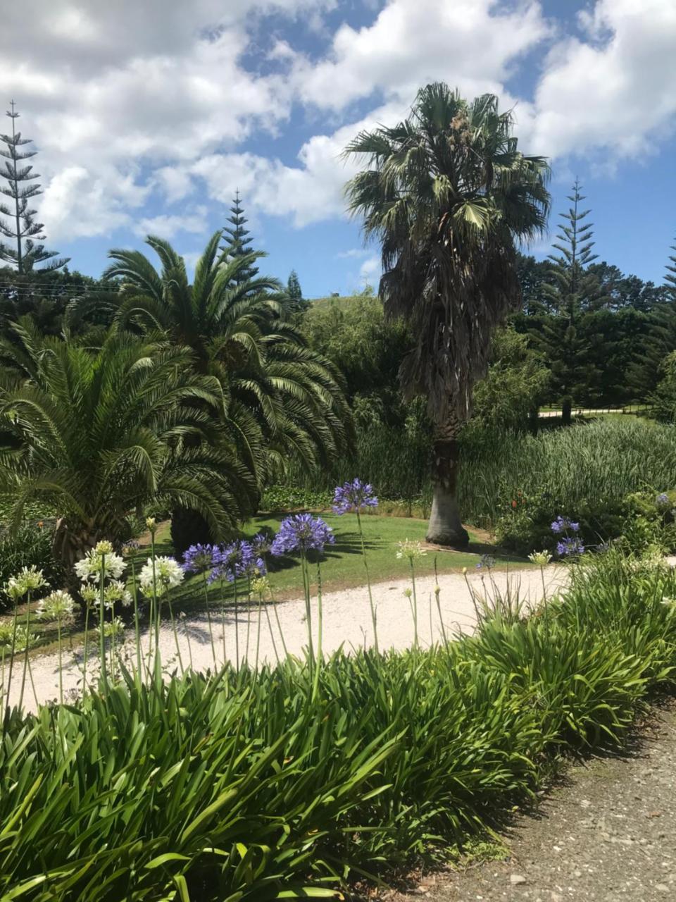 Paradise Grove Уангамата Экстерьер фото